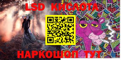 spice Кингисепп