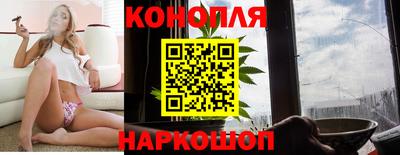 spice Кингисепп