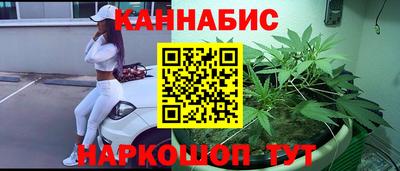 spice Кингисепп