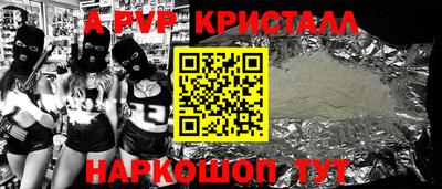 spice Кингисепп
