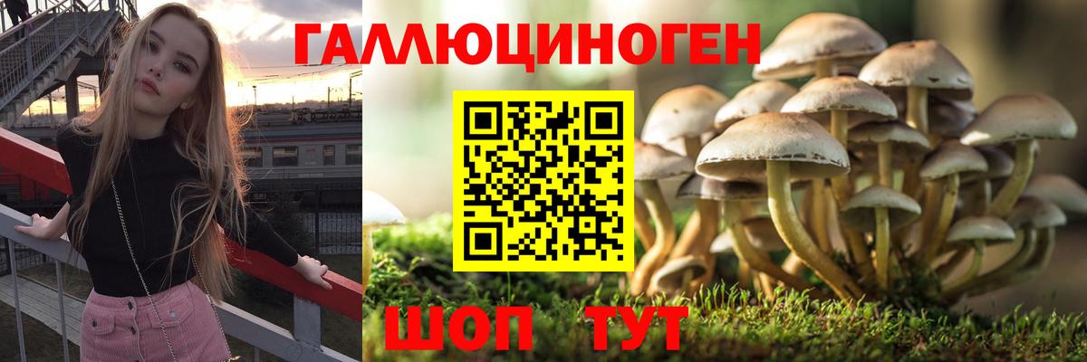 Псилоцибиновые грибы ЛСД  Вход с VPN  как найти закладки  Краснознаменск 